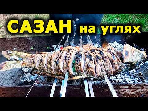 Маринад для рыбы на мангале сазан: вкусные рецепты